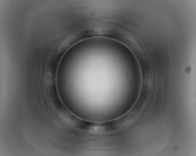 X0000091460220200708161528