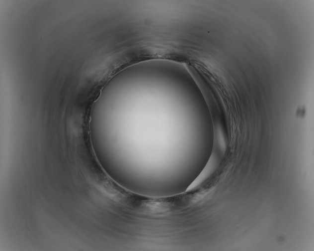 X0000091460221200708161528