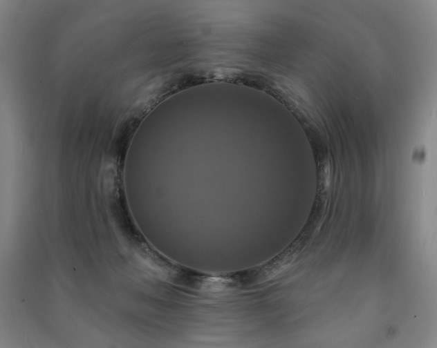 X0000091460222200708161528
