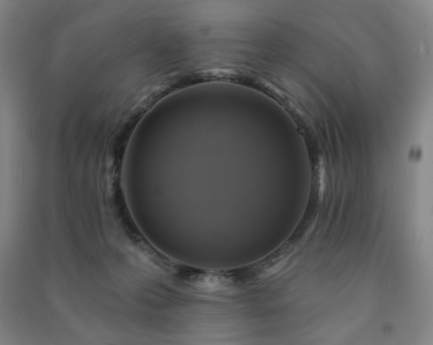 X0000091460223200708161528