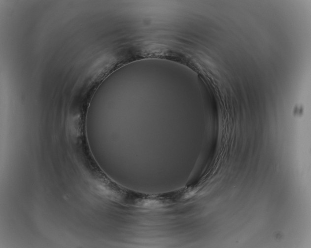 X0000091460224200708161528