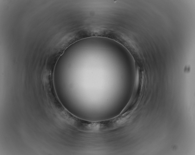 X0000091460225200708161528