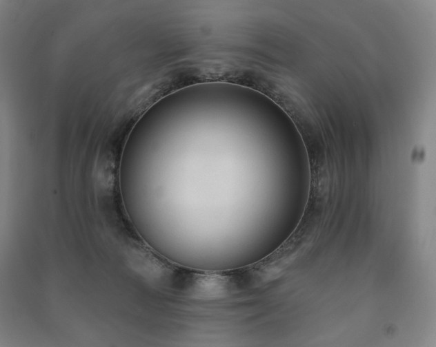 X0000091460226200708161528