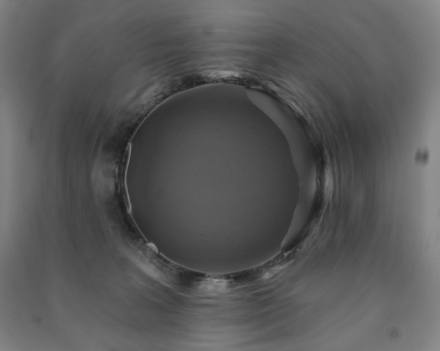 X0000091460227200708161528