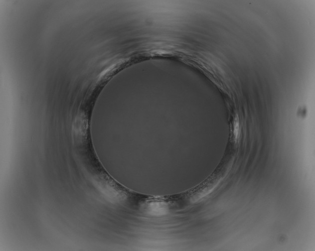 X0000091460228200708161528