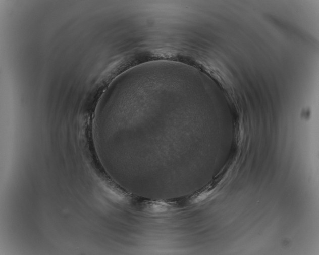 X0000091460229200708161528