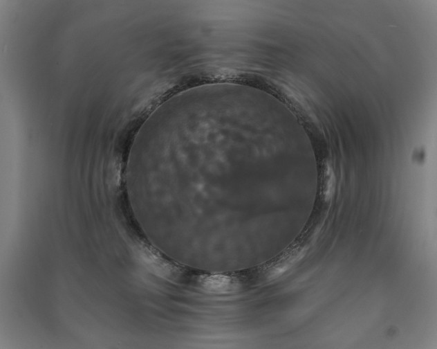 X0000091460230200708161528