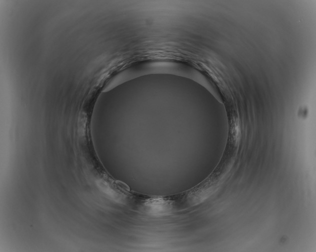X0000091460231200708161528