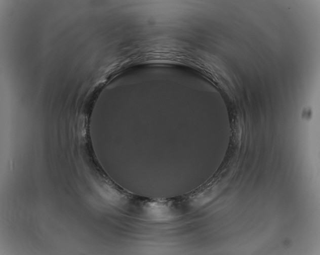 X0000091460232200708161528