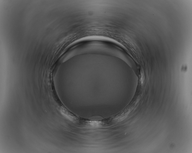 X0000091460233200708161528