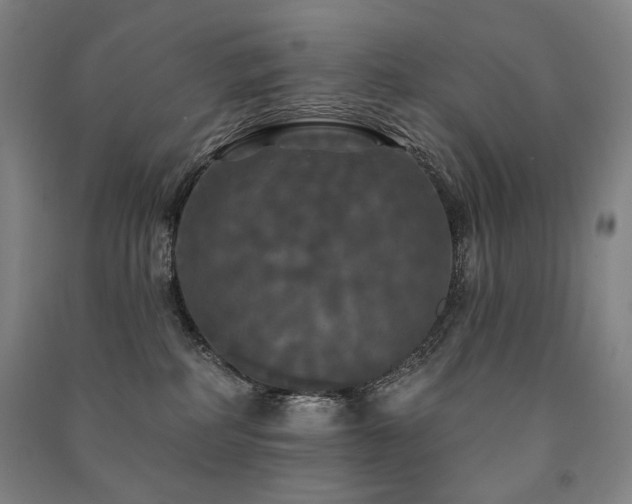 X0000091460234200708161528