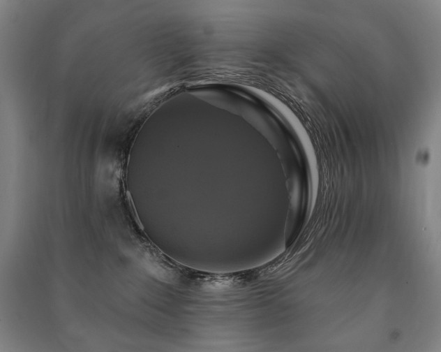 X0000091460235200708161528