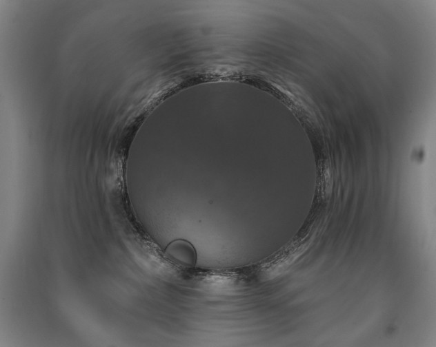 X0000091460236200708161528