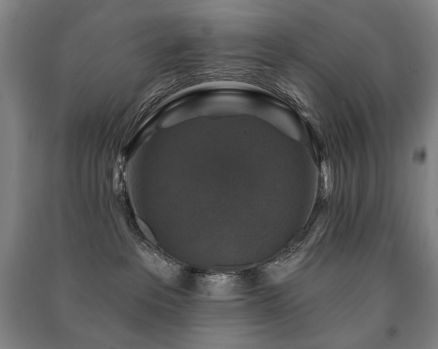 X0000091460237200708161528