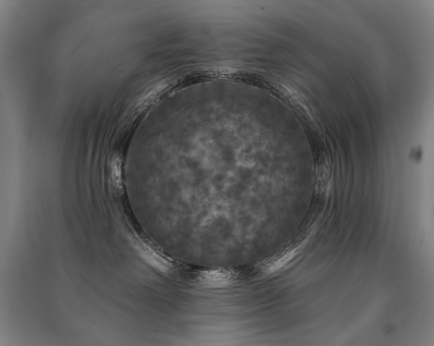 X0000091460238200708161528