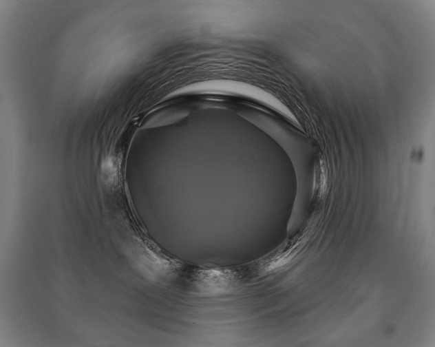 X0000091460239200708161528