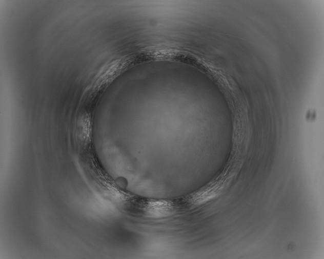 X0000091460240200708161528