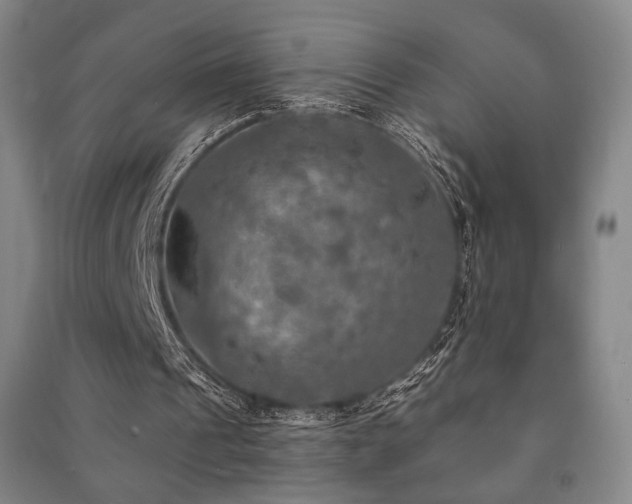 X0000091460241200708161528