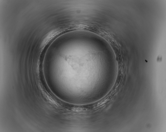 X0000091460242200708161528