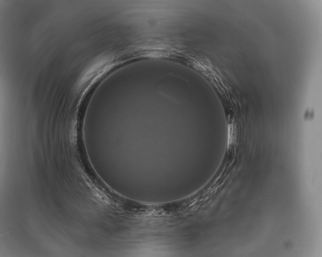 X0000091460243200708161528