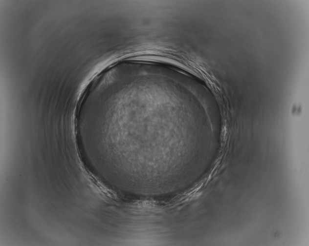 X0000091460244200708161528
