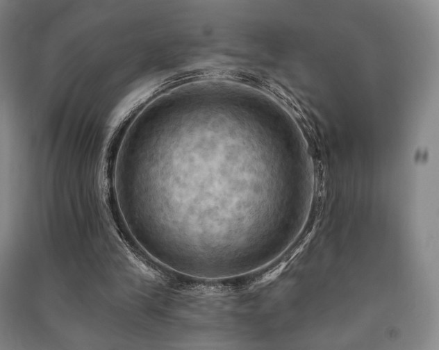 X0000091460245200708161528