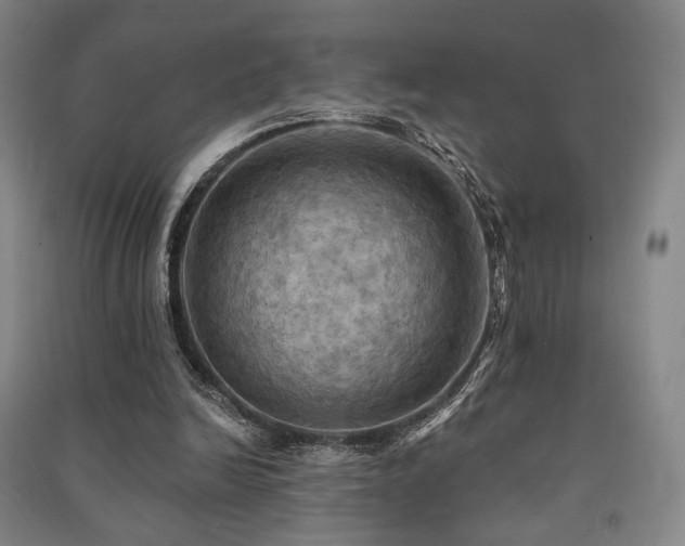 X0000091460246200708161528