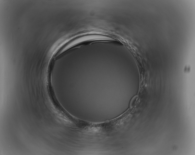 X0000091460247200708161528