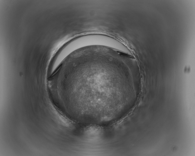 X0000091460248200708161528