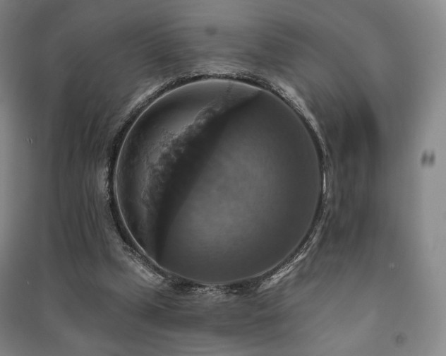 X0000091460249200708161528