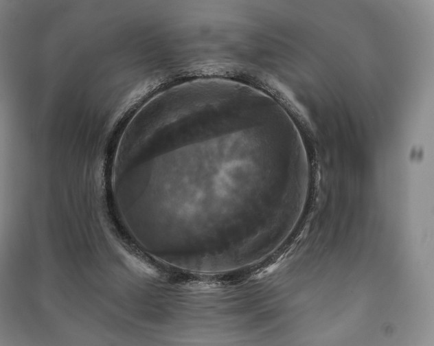 X0000091460250200708161528
