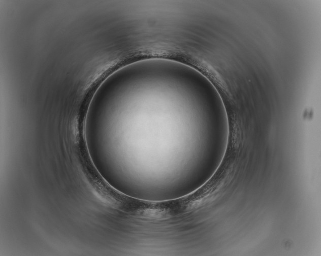 X0000091460251200708161528
