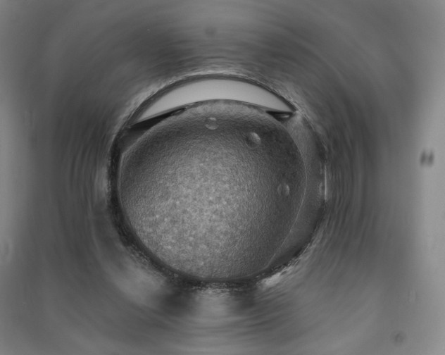 X0000091460252200708161528