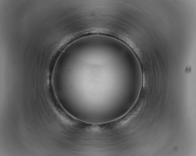 X0000091460253200708161528