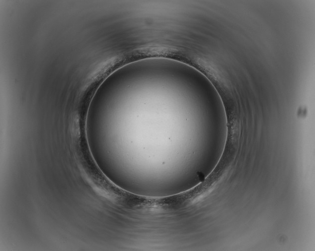 X0000091460254200708161528