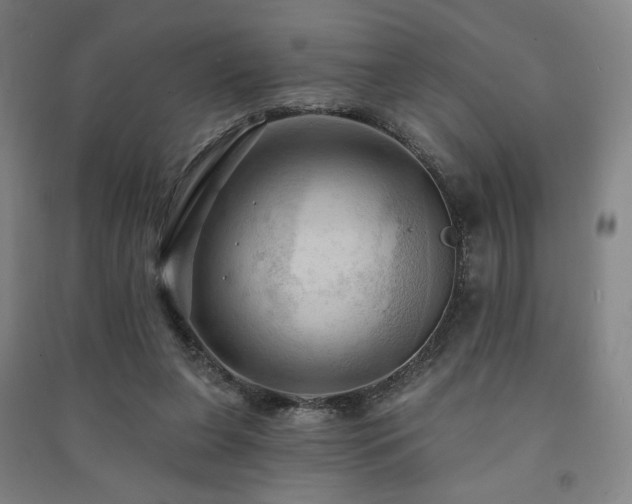 X0000091460255200708161528