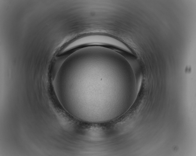X0000091460256200708161528