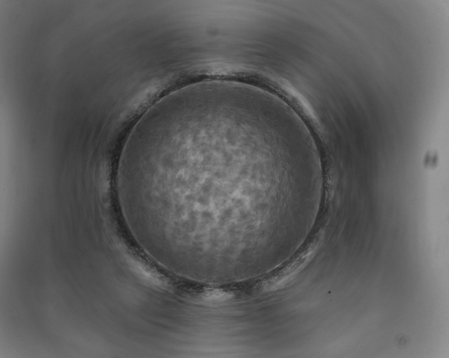 X0000091460257200708161528