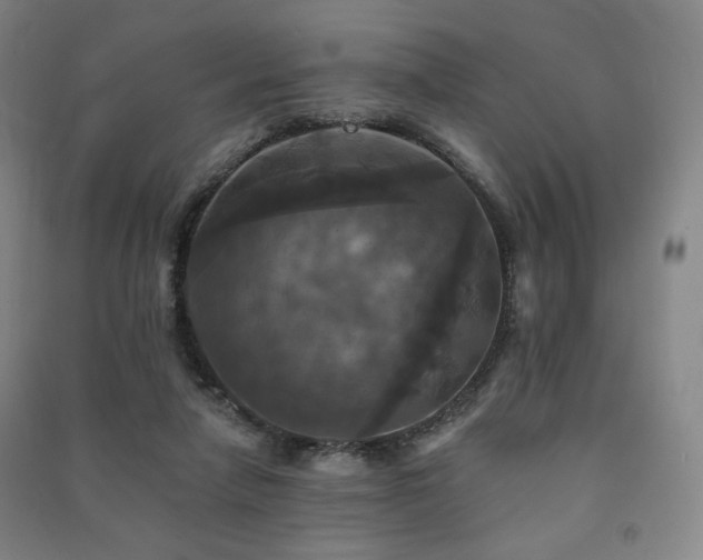 X0000091460258200708161528