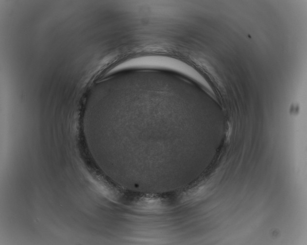 X0000091460260200708161528