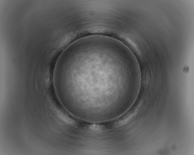 X0000091460261200708161528