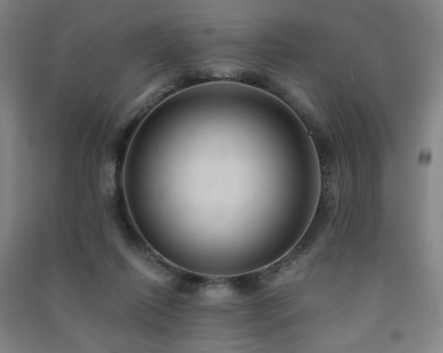 X0000091460262200708161528