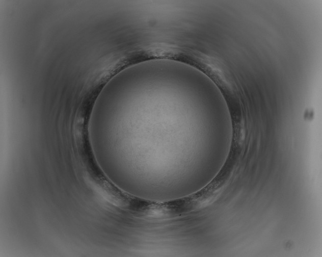 X0000091460263200708161528