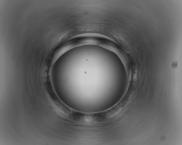 X0000091460264200708161528