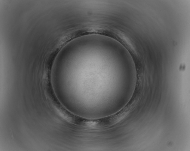 X0000091460265200708161528