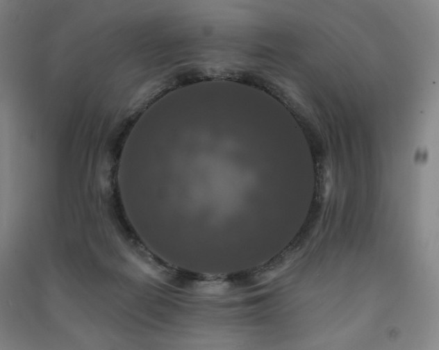 X0000091460266200708161528
