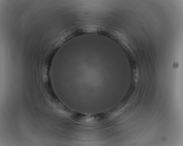X0000091460267200708161528