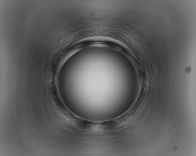 X0000091460268200708161528