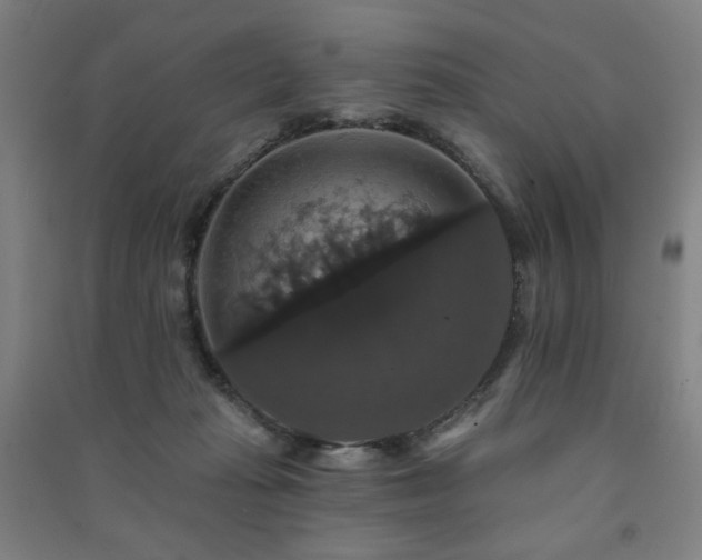 X0000091460269200708161528