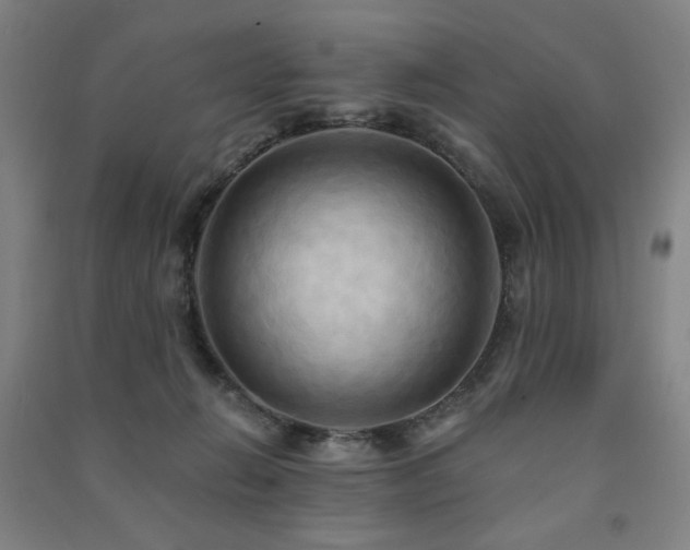 X0000091460270200708161528